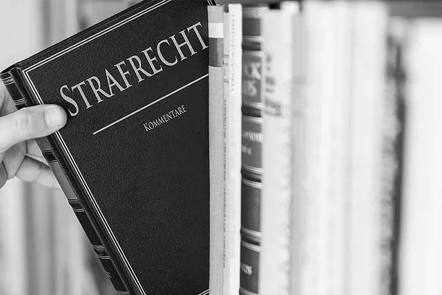 Unsere Leistung: Strafrecht